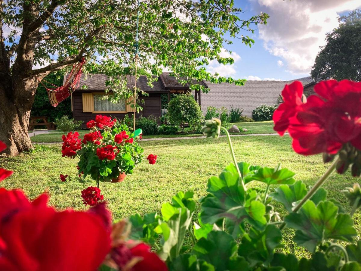 Viesu Maja"Ordzinas" Villa Pāvilosta Exterior foto